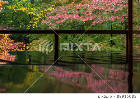 京都瑠璃行員瑠璃光院の紅葉を撮影 88915085