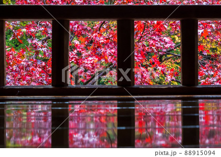 京都瑠璃行員瑠璃光院の紅葉を撮影 88915094