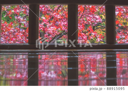 京都瑠璃行員瑠璃光院の紅葉を撮影 京都瑠璃行員瑠璃光院の紅葉を撮影 88915095