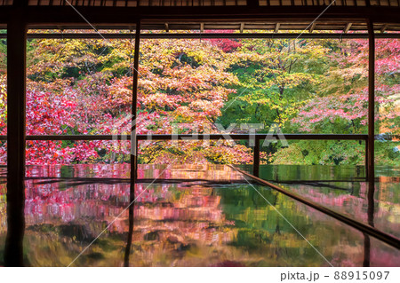 京都瑠璃行員瑠璃光院の紅葉を撮影 88915097