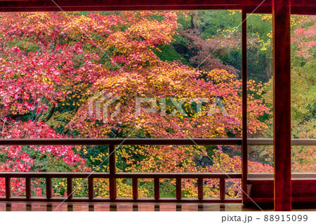 京都瑠璃行員瑠璃光院の紅葉を撮影 京都瑠璃行員瑠璃光院の紅葉を撮影 88915099