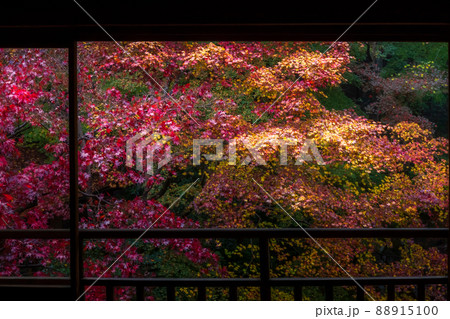京都瑠璃行員瑠璃光院の紅葉を撮影 京都瑠璃行員瑠璃光院の紅葉を撮影 88915100