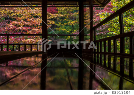 京都瑠璃行員瑠璃光院の紅葉を撮影 京都瑠璃行員瑠璃光院の紅葉を撮影 88915104