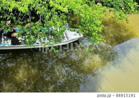 福岡県 水郷柳川 川下り 福岡県 水郷柳川 川下り 88915191