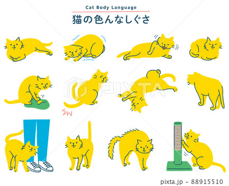 猫の色んなしぐさイラストセット 88915510