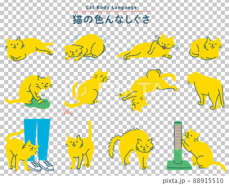 猫の色んなしぐさイラストセット 88915510
