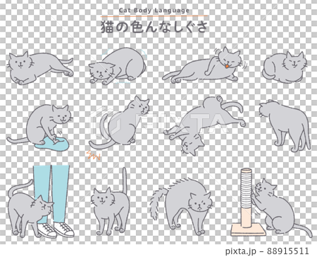猫の色んなしぐさイラストセット 88915511