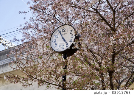 時計と桜のイメージ 時計と桜のイメージ 88915763