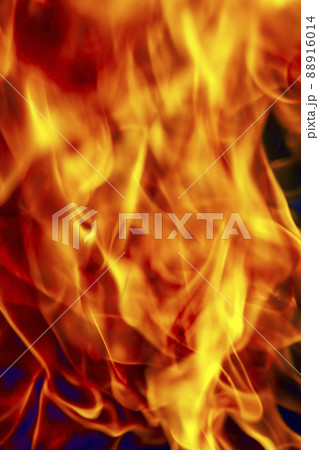 orange flame of fire while burning branches and firewood 88916014