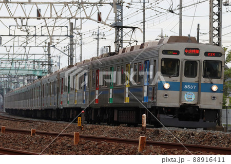 引退間際の東急田園都市線8500系（青帯：Bunkamura号） 88916411