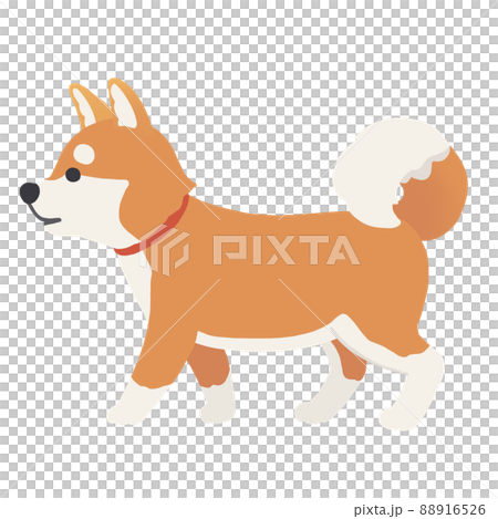 Shiba Inu Shiba Inu 88916526