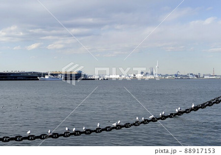 かもめ　鴎　横浜港（よこはまこう）神奈川県横浜市の東京湾岸　国際戦略港湾・京浜港（ハブ港） 88917153