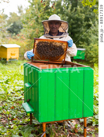 Old hiver in protective suit with hive frame 88917339