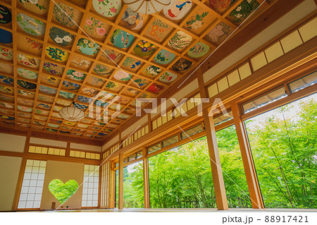 【京都】正寿院 客殿の天井画と猪目窓と新緑｜京都府宇治田原 88917421