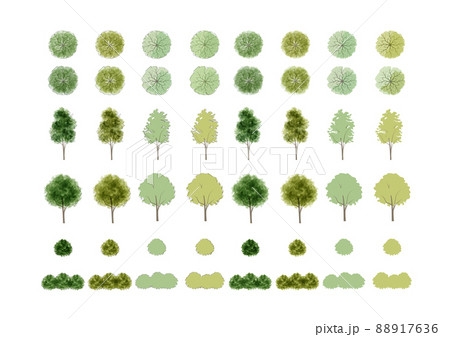 若々しい新緑の木の素材 横から 上から 枝あり のイラスト素材
