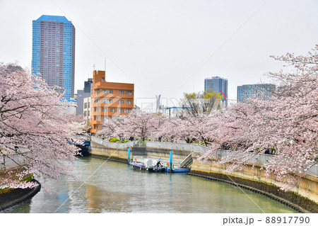 黒船橋／大横川より越中島橋方面を望む(東京都江東区)【2022.4】 88917790