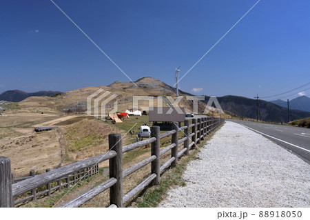 春の四国カルスト　（愛媛県　姫鶴平） 88918050