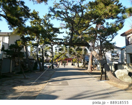 小岩不動尊　　　（東京都江戸川区） 88918555