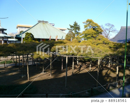 小岩不動尊　　　（東京都江戸川区） 88918561