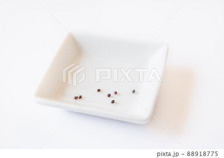レッドコールラビの種 88918775