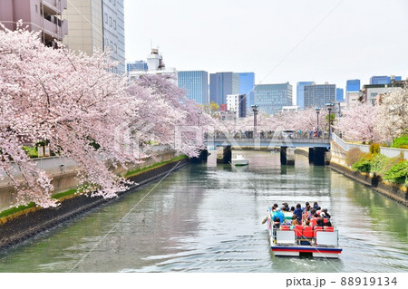 石島橋／大横川より黒船橋方面を望む(東京都江東区)【2022.4】 88919134