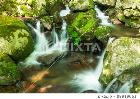 宇津江四十八滝　上段滝 88919663