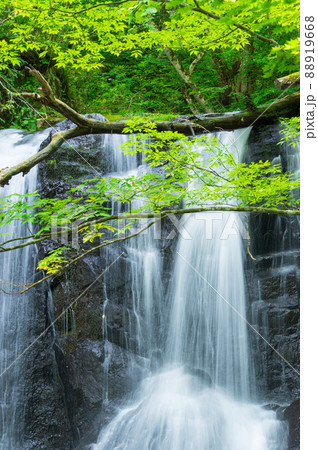 宇津江四十八滝　上段滝 88919668