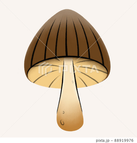 Mushroom with a brown hat stylized drawing by hand. Textured edible mushroom. Illustration of healthy food. Sketches of autumn forest plants. Perfect for recipe, menu, label, badge, packaging, botanic Mushroom with a brown hat stylized drawing by hand. Textured edible mushroom. Illustration of healthy food. Sketches of autumn forest plants. Perfect for recipe, menu, label, badge, packaging, botanic 88919976