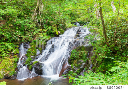 宇津江四十八滝　布晒滝 88920024