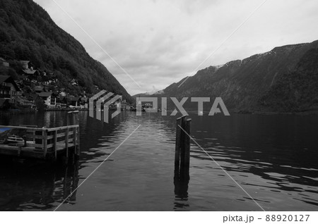 ハルシュタット 88920127