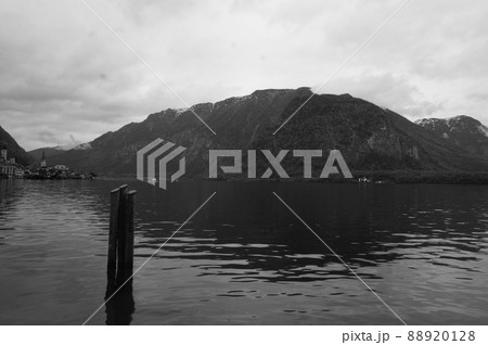 ハルシュタット 88920128