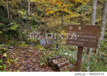 宇津江四十八滝　霧の函滝 88920514