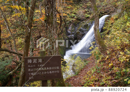 宇津江四十八滝　障泥滝 88920724