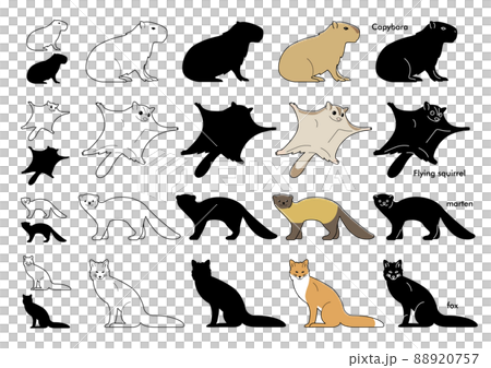 動物插圖圖標集 動物插圖圖標集 88920757