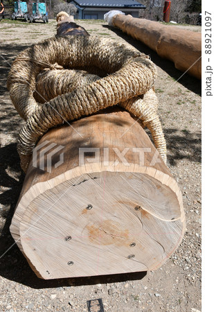 諏訪大社下社  注連掛 88921097