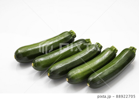 白バックのズッキーニ 88922705