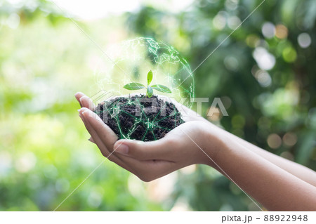 Ecology and environmental concept, hands protecting the earth of green trees, girl holding a small tree to prepare for planting on the ground. Ecology and environmental concept, hands protecting the earth of green trees, girl holding a small tree to prepare for planting on the ground. 88922948