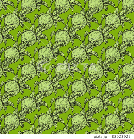 Seamless pattern engraved lemon on twig with leaves. Vintage background citrus fruit on branch in hand drawn style. 88923925