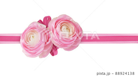 Pink silk ribbons and ranunculus flowers in a floral arrangement isolated on white 88924138