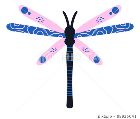 Dragonfly in ethnic tribal style. Decorative spirit insect 88925041