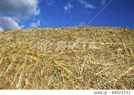 agricultural field with straw stacks after wheat harvest agricultural field with straw stacks after wheat harvest 88925531
