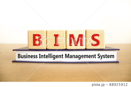 BIMS, Business intelligent management system symbol. Concept words BIMS, Business intelligent management system on cubes on white background. Business intelligent management system concept. BIMS, Business intelligent management system symbol. Concept words BIMS, Business intelligent management system on cubes on white background. Business intelligent management system concept. 88925912