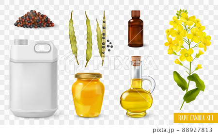 Rape Canola Transparent Set 88927813