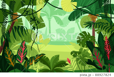 Colored Jungle Composition 88927824