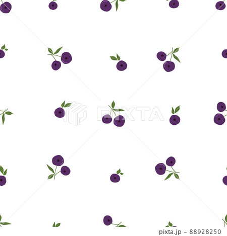 Seamless pattern with blueberries on white background. 88928250