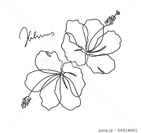 Beautiful hibiscus flower pattern. Line art concept design. 88928665