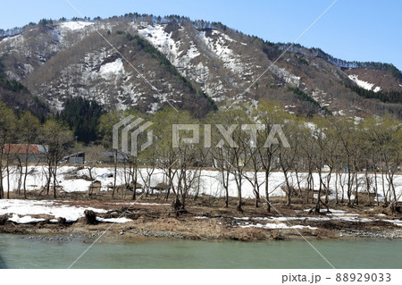 雪解けで増水した伊南川と雪が残る里山ー熊倉橋から　福島県只見町 88929033