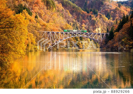 只見線 錦秋の第一只見川橋梁を渡る風っこ号【11月、福島県三島町】 只見線 錦秋の第一只見川橋梁を渡る風っこ号【11月、福島県三島町】 88929266
