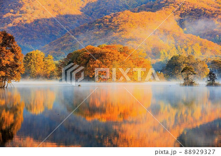 朝霧と紅葉に包まれた早朝の曽原湖【福島県裏磐梯、10月下旬】 朝霧と紅葉に包まれた早朝の曽原湖【福島県裏磐梯、10月下旬】 88929327