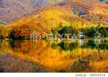 紅葉が美しい10月下旬早朝の曽原湖【福島県裏磐梯】 紅葉が美しい10月下旬早朝の曽原湖【福島県裏磐梯】 88929328